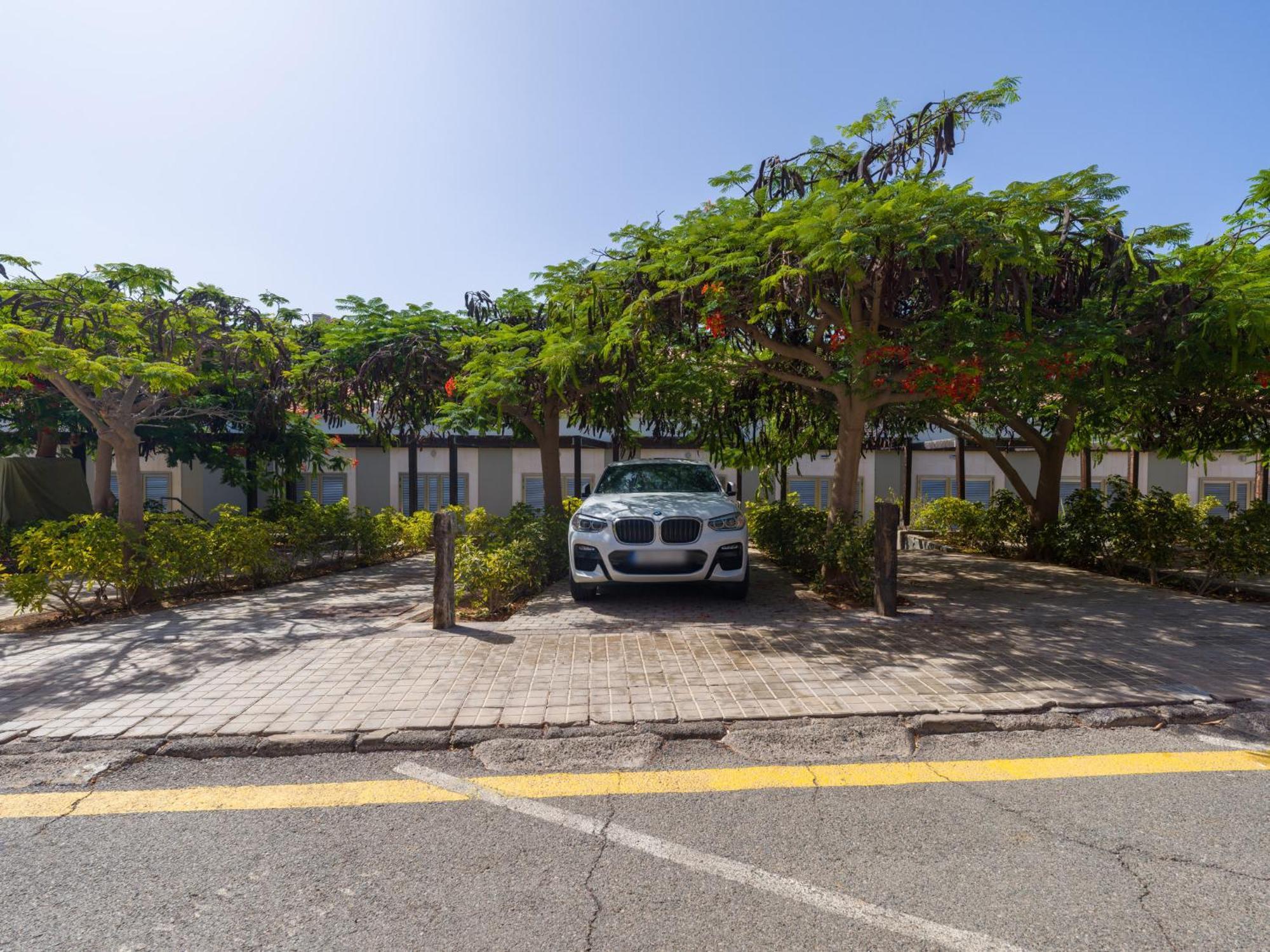 Blue Marlin Apartment - Gran Canaria Stays ปาซิโต บลังโก ภายนอก รูปภาพ